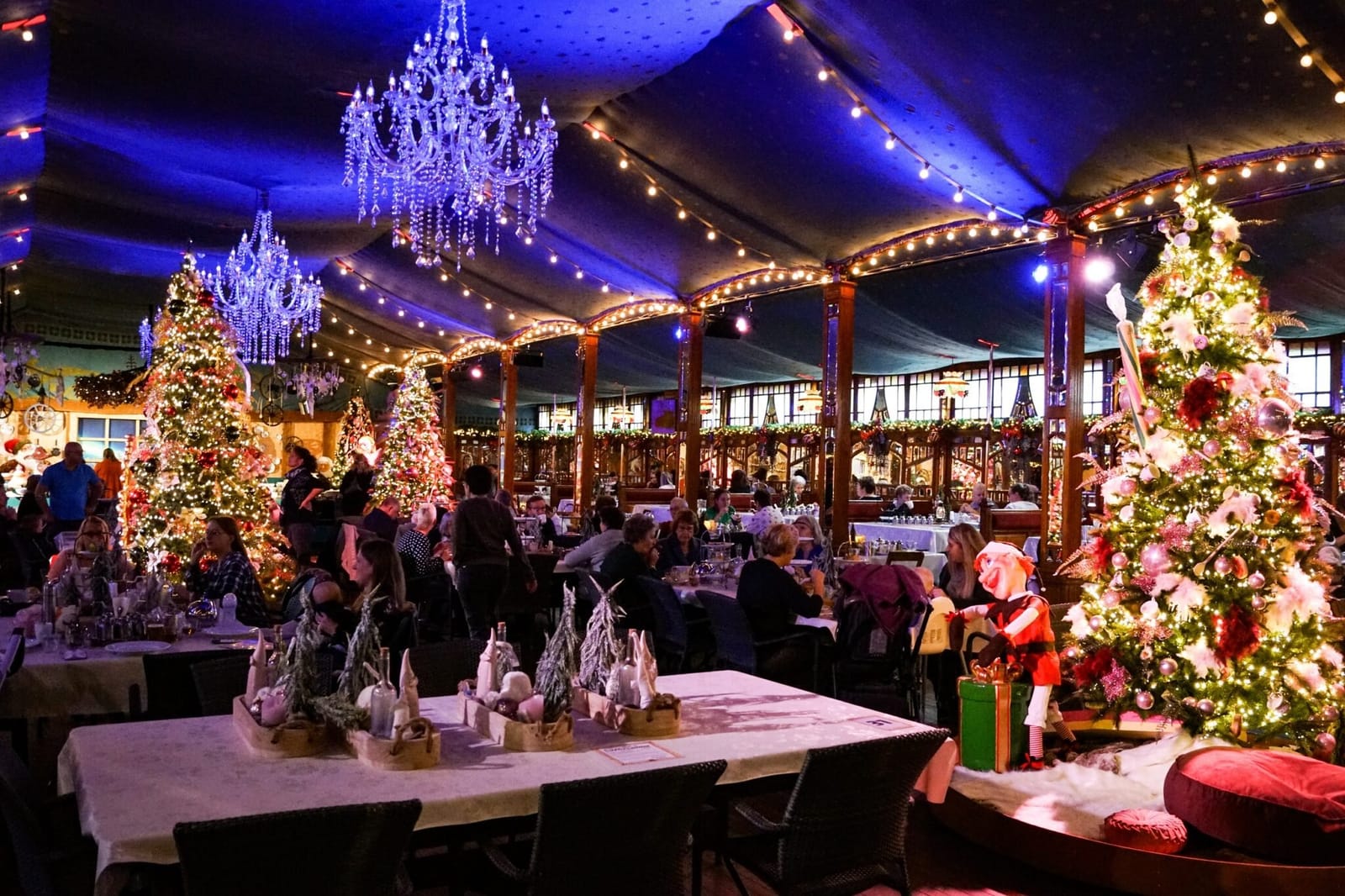 Kerstshow bij Intratuin Halsteren